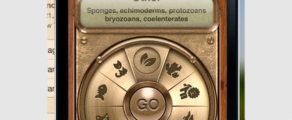 Go To Wheel of Life