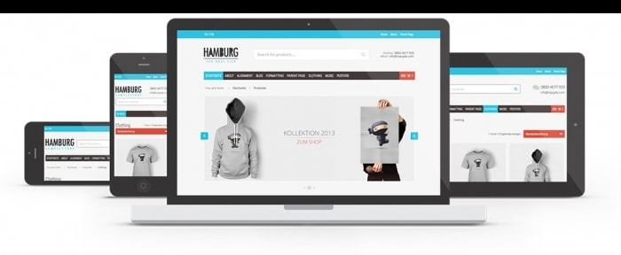 Go To wordpress-ecommerce-blog-theme-hamburg