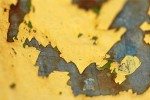 wf-paint-f