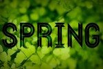 wf-springtex-f