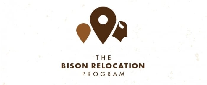 Go To Bison Relocation
