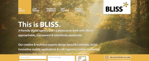 View Information about BLISS