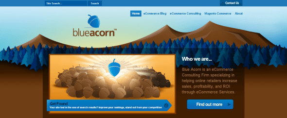 Go To blueacorn