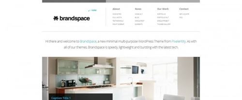 View Information about Brandspace Theme