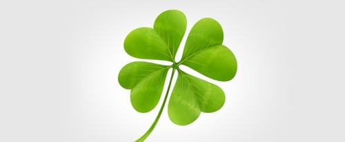 View Information about Clover