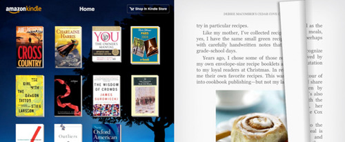 View Information about Kindle for iPad