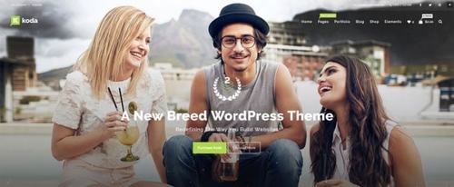 View Information about Koda WordPress theme