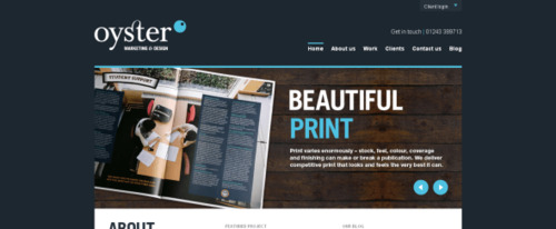 View Information about Oyster Design