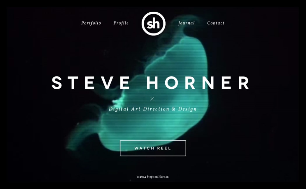 Go To Steve Horner