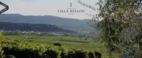 View Information about Villa Bellini