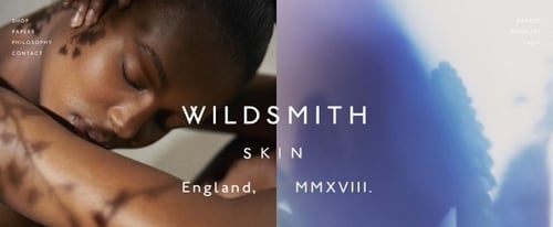 View Information about Wildsmith Skin