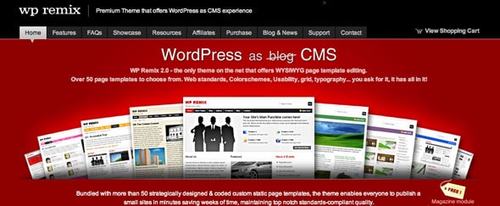 View Information about Wpremix