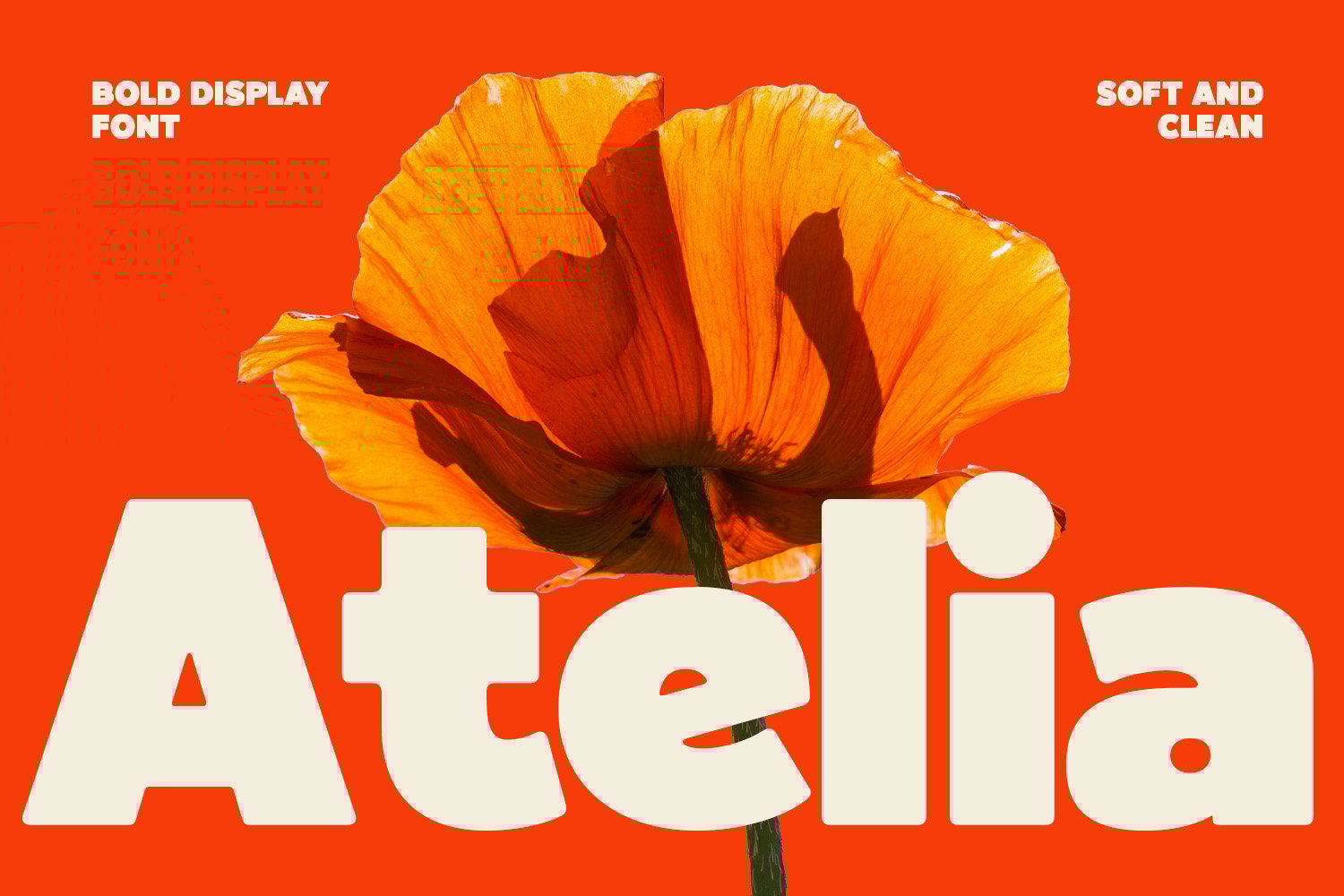  Atelia - Trendy Poster Font