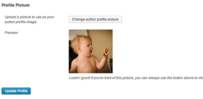 easy author upload photo plugin wordpress