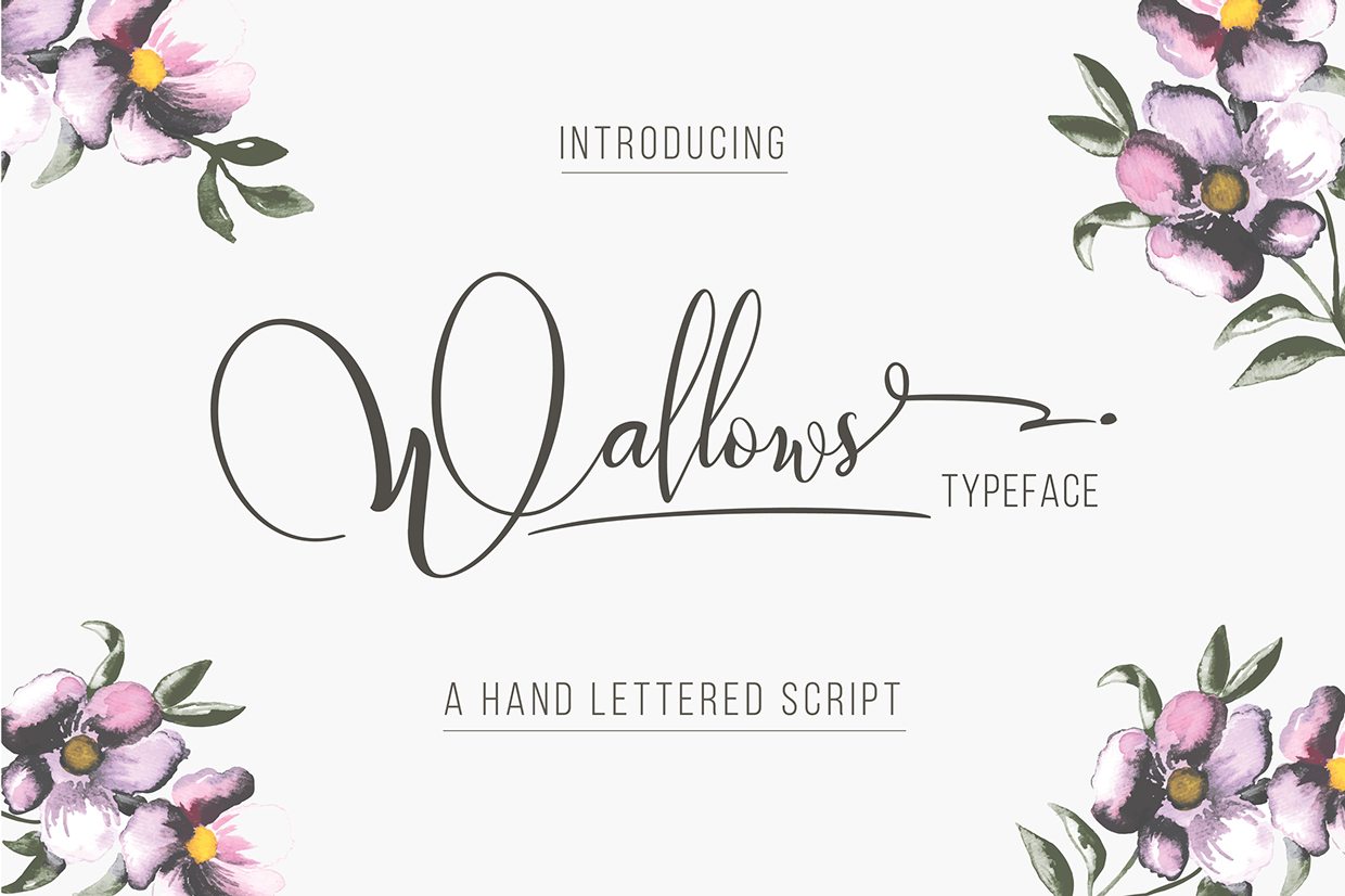 40790428537925.55c4d112733a6 100+ Beautiful Script, Brush & Calligraphy Fonts design tips 