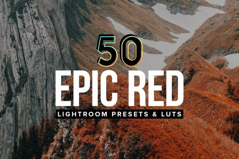 20+ Best Lightroom LUTs for Photography (For Stunning Photos) Design