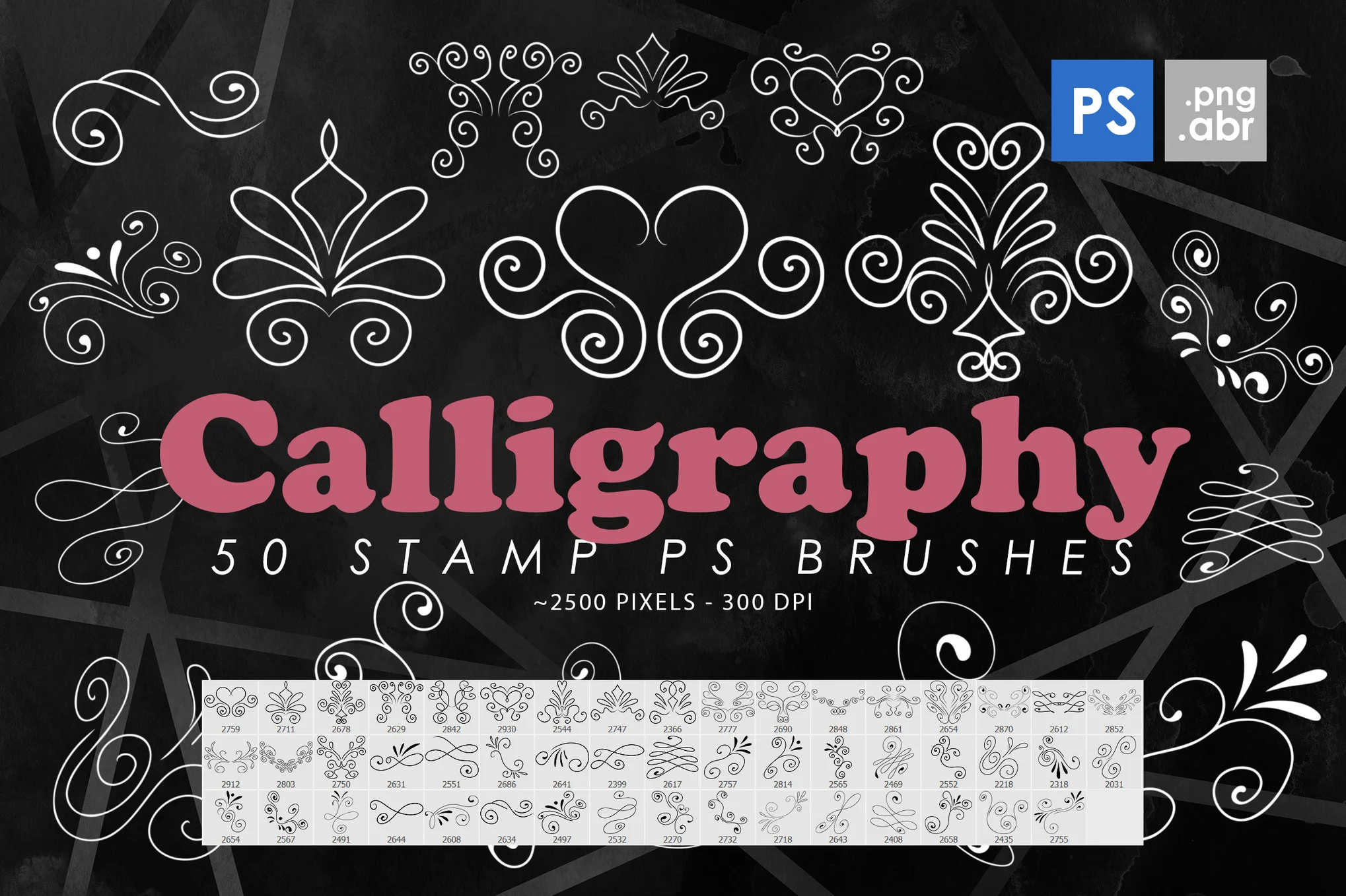 50 Calligraphy Photoshop Stamp Brushes