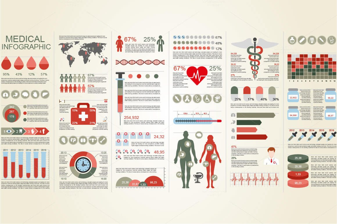 adobe illustrator infographic template