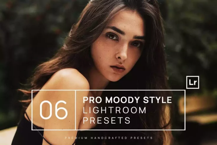 View Information about 6 Pro Moody Lightroom Presets