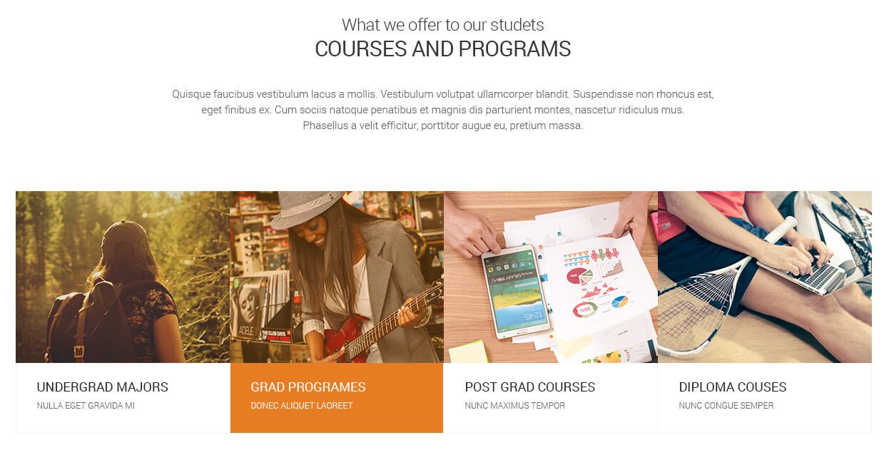 15 Best Moodle Themes of 2017 Design Shack