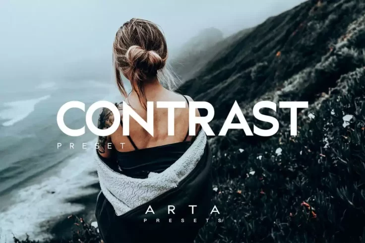 View Information about ARTA Contrast Lightroom Preset