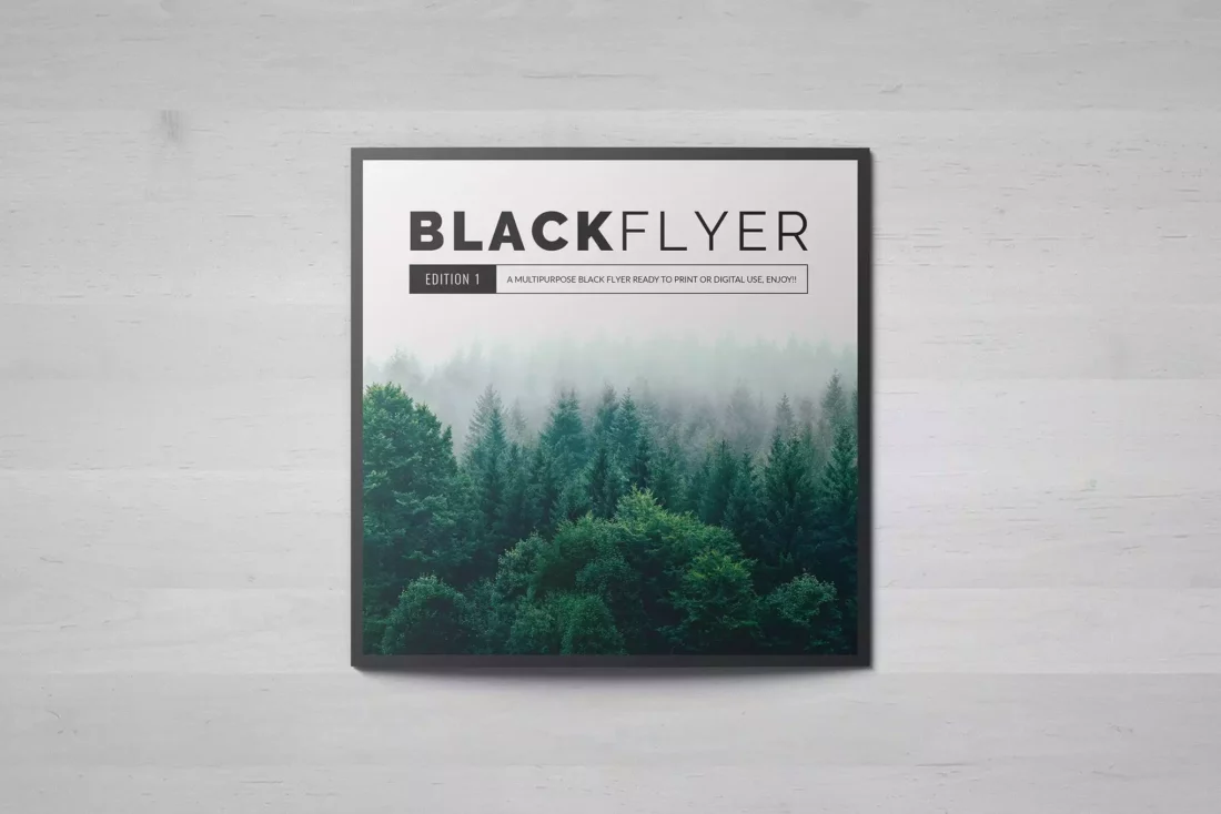 BlackFlyer Affinity Publisher Template Design Shack