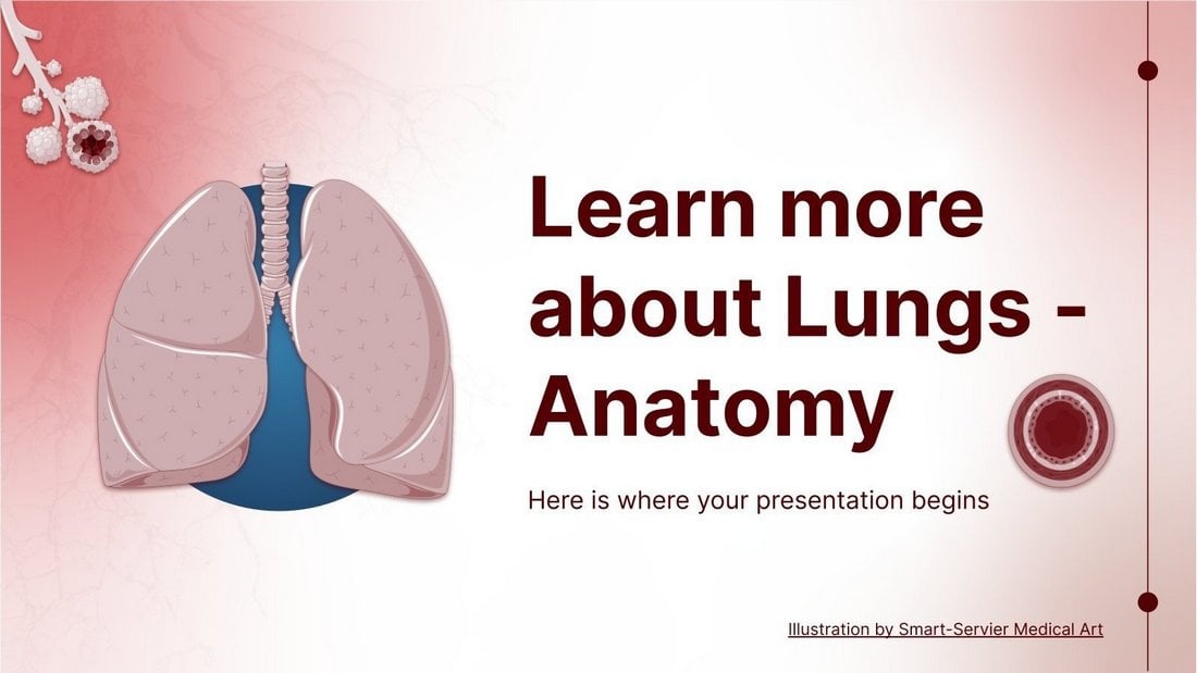 Anatomy - Free Educational Lesson for PowerPoint