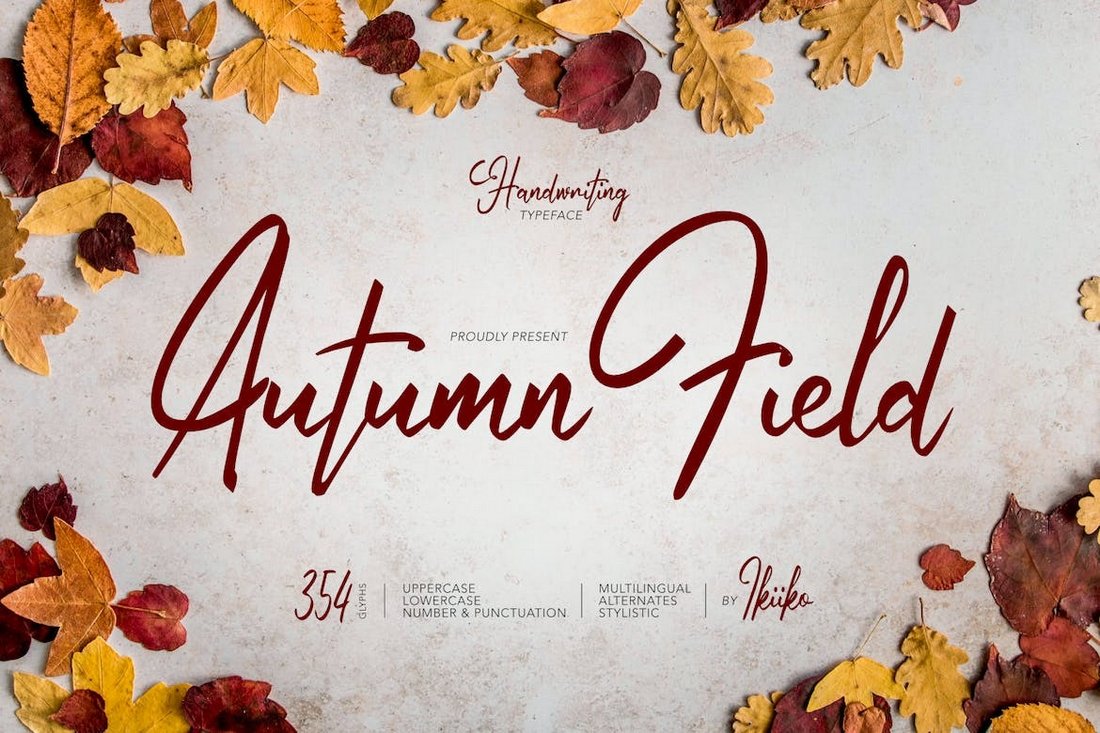 Autumn Field - Handwriting Fall Font