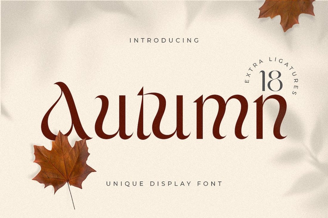 Autumn - Unique Fall Font