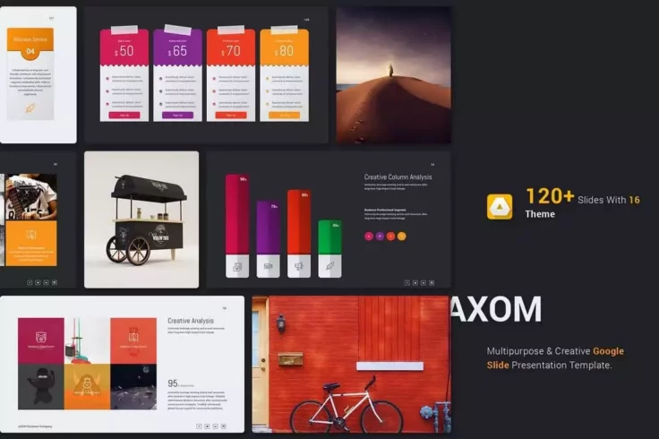 View Information about Axom Presentation Template