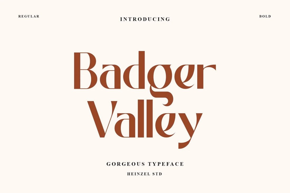 Badger Valley - Elegant Free Narrow Font