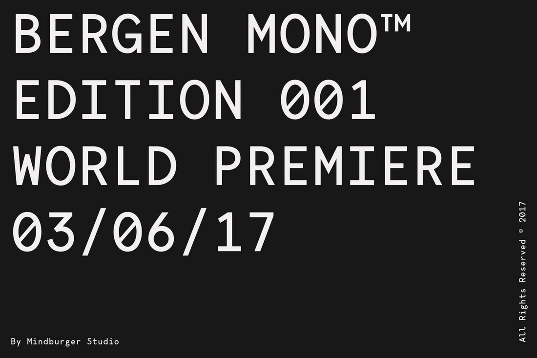 Bergen-Mono 10+ Professional Monospaced Fonts for Designers design tips 