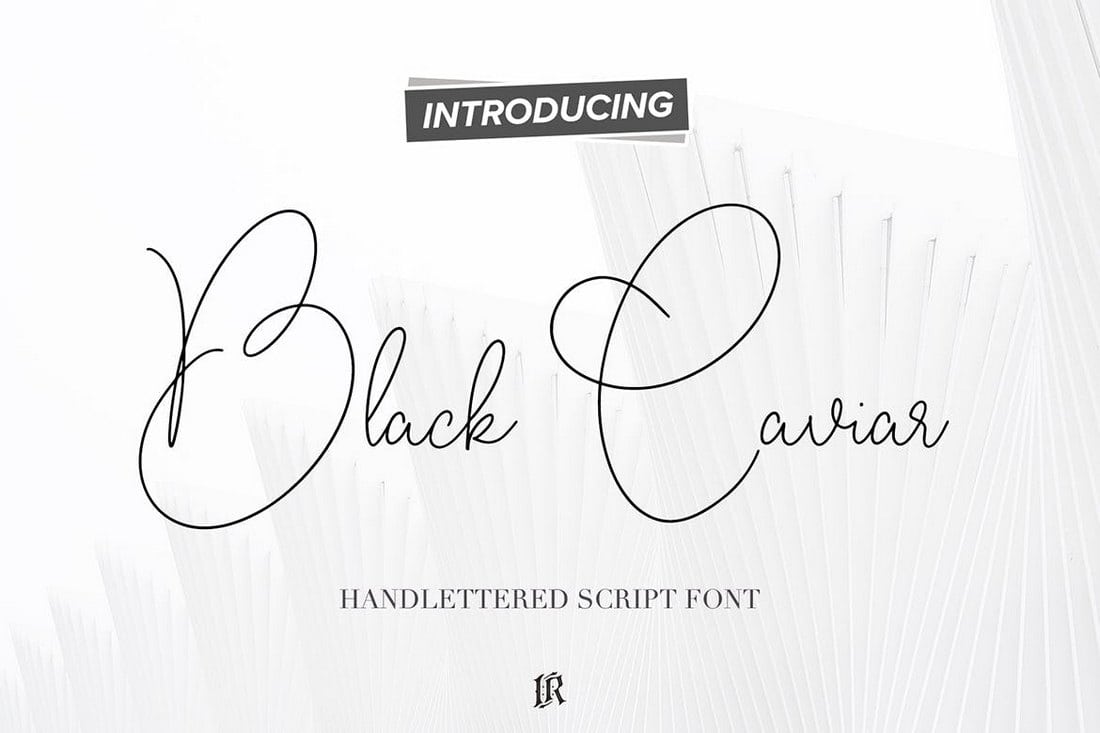 Black-Caviar-Script-Font 40+ Best Fonts for Business Cards 2022 design tips