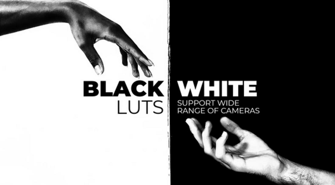 Black and White LUTs for Davinci Resolve