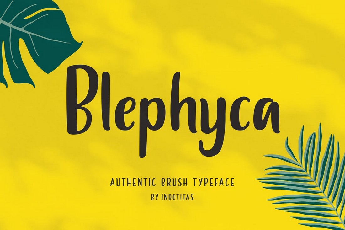 Blephyca-Creative-Brush-Poster-Font 30+ Best Fonts for Posters design tips 