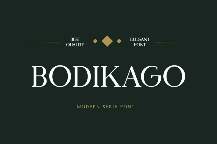 View Information about Bodikago Luxury Serif Font