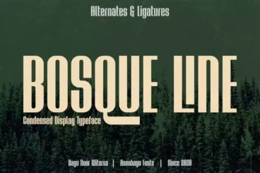 Bosque Line Vintage Narrow Font