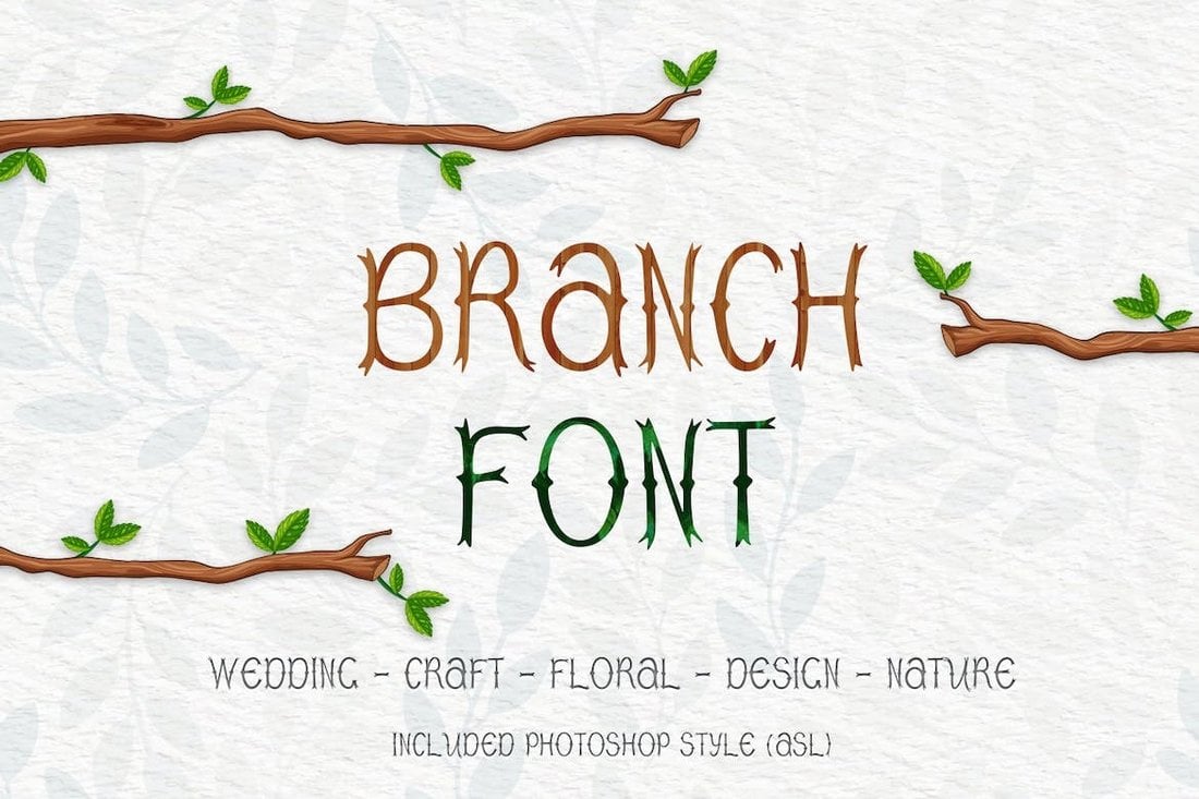 Branch Font - Creative Earthy Font