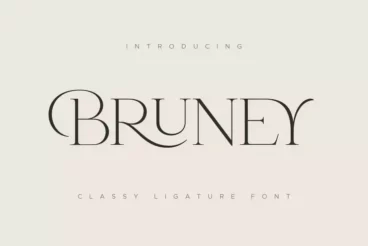 Bruney Luxury Ligature Font