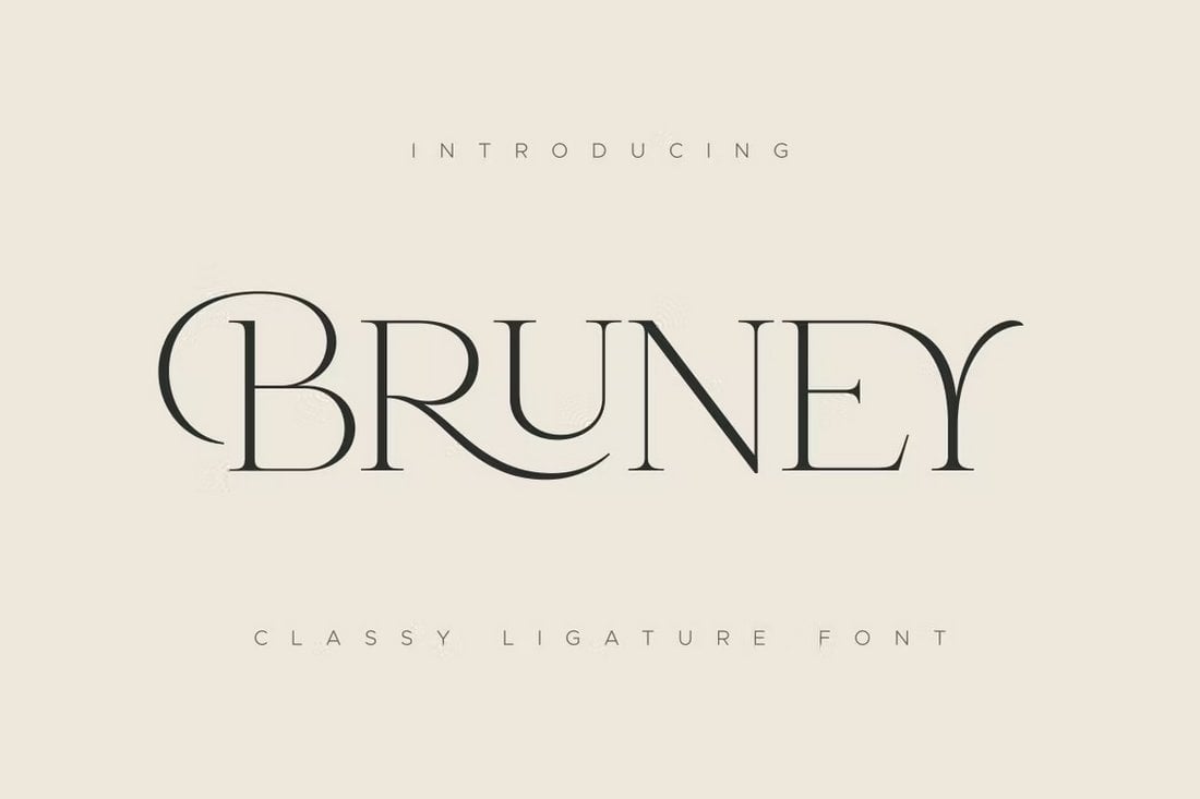 Bruney-Luxury-Ligature-Font 25+ Best Luxury & Elegant Fonts in 2022 (Free & Pro) design tips 