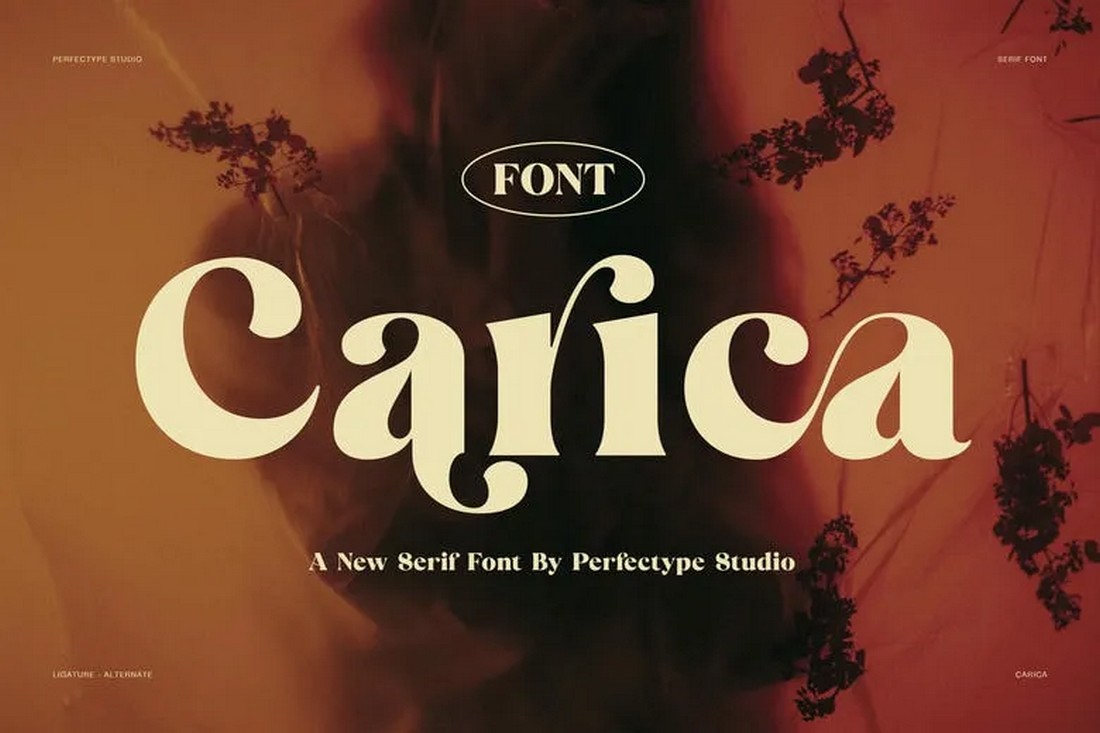 Carica - Free Serif Logo Font