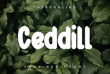 Ceddil Creative Narrow Font