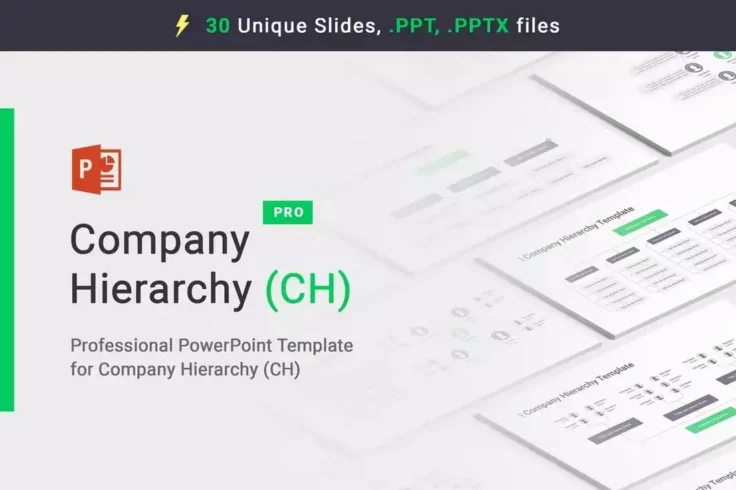 View Information about Company Hierarchy PowerPoint Org Charts