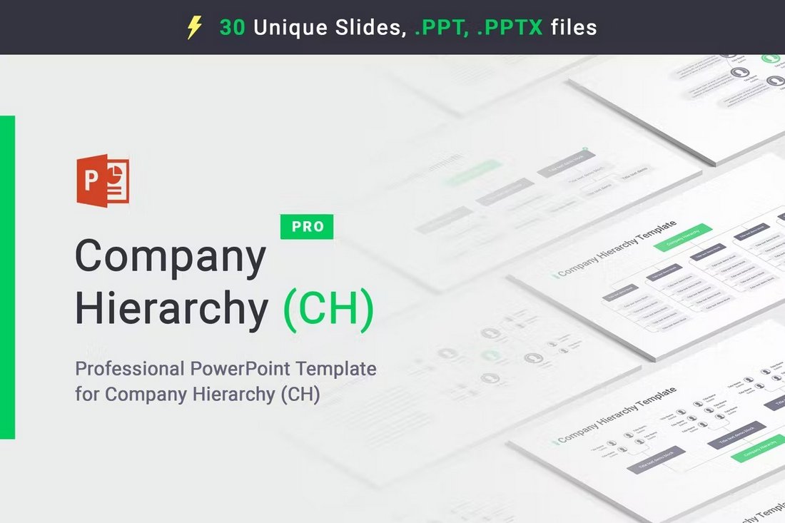 Company Hierarchy PowerPoint Org Charts