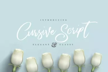 Elegant Cursive Brush Script Font