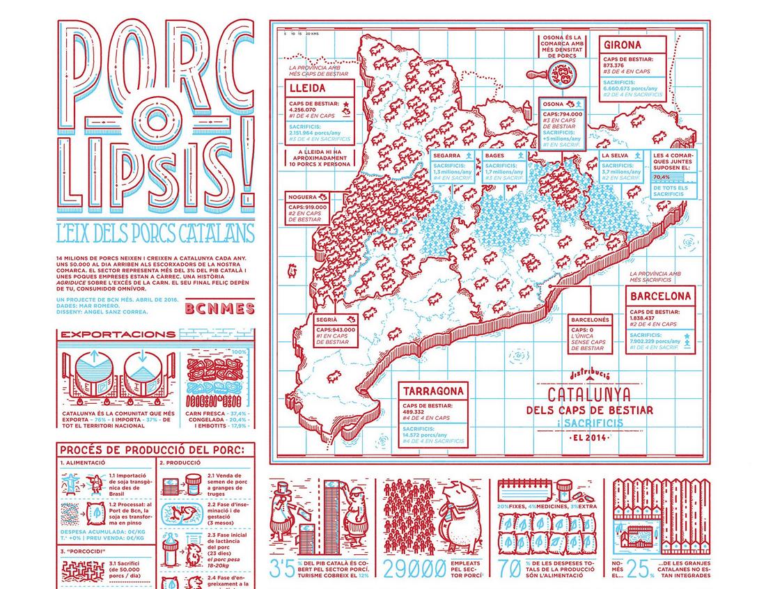 Develop an Illustrated Infographic