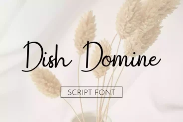 Dish Domine Handwritten Chic Font
