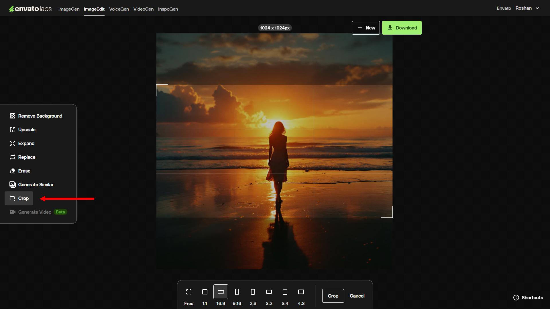 Envato ImageEdit crop 1