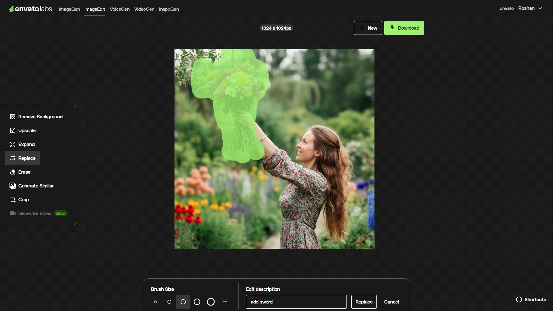 Envato ImageEdit replace 2