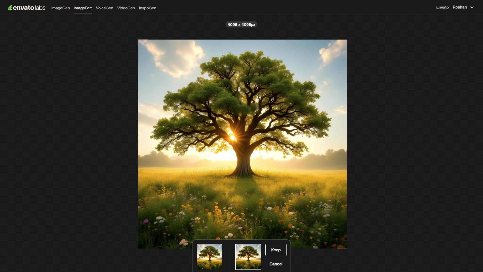 Envato ImageEdit upscale 2